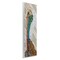 Stupell Industries Wild And Free Collaged Pelican Wall Plaque, design by Lisa Morales